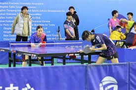 WTT多哈赛争夺冠军焦点