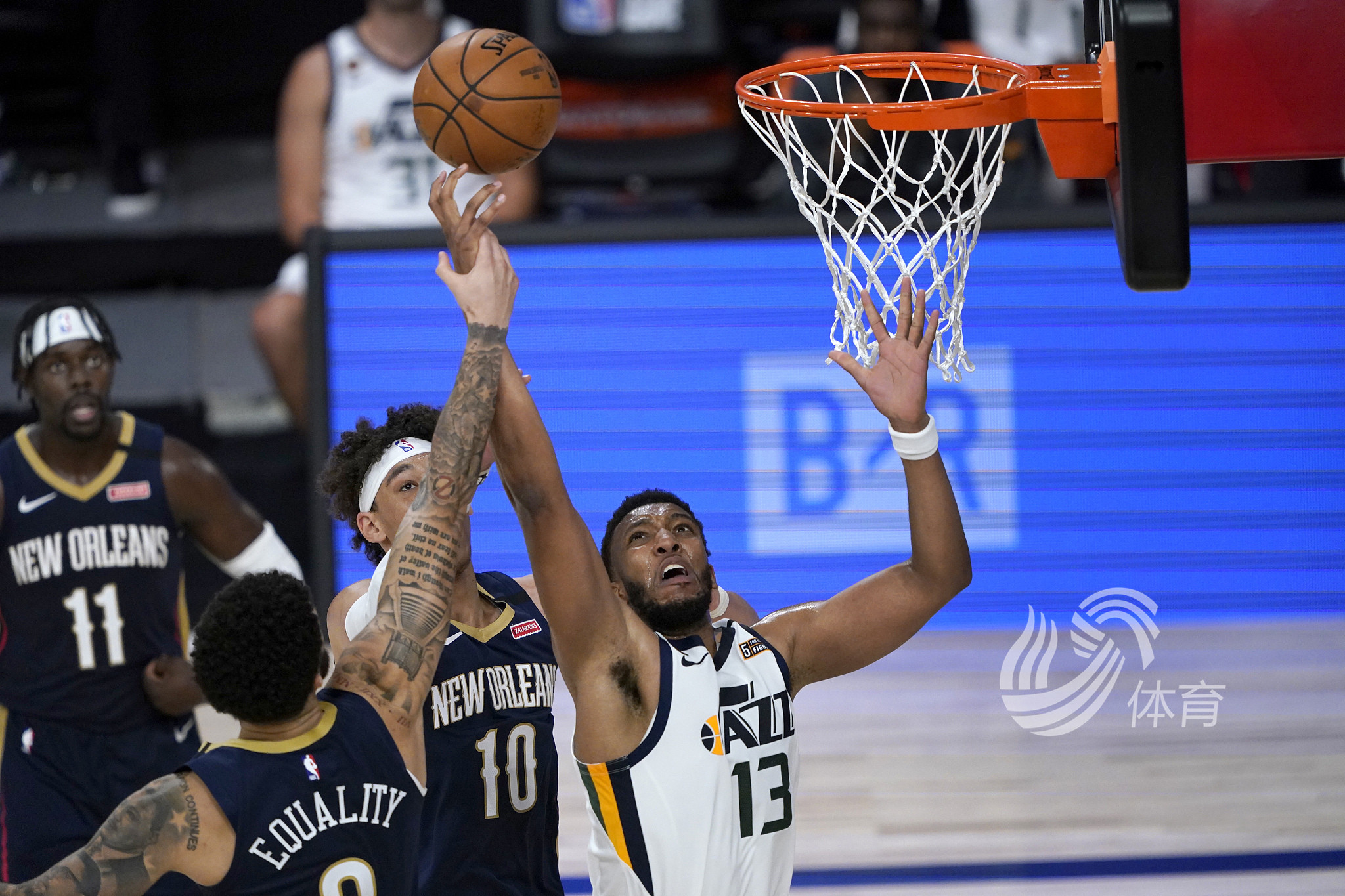 员而精彩纷 员而精彩纷